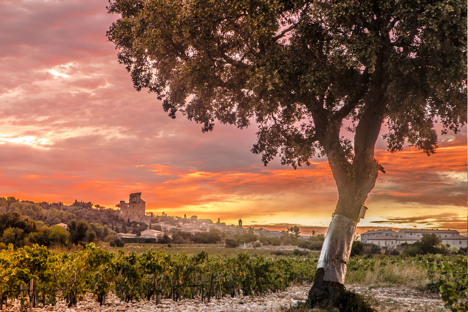 Chateauneuf-du-pape-Guenhael-Kessler