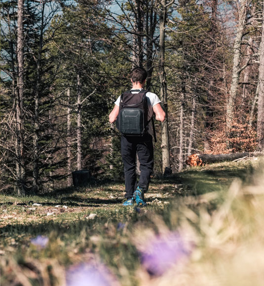 Wandern am Mont Ventoux © Verneuil Teddy