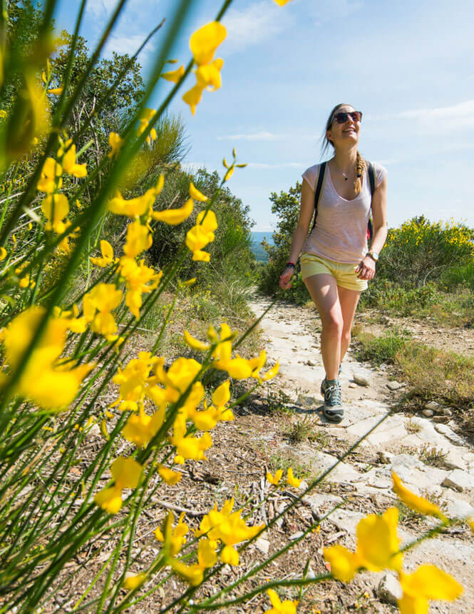 Wandern Provence 