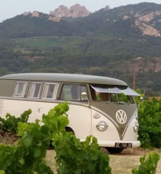 Expérience en van dans les vignes