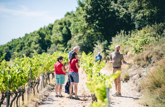 Wandern Dentelles de Montmirail @ O'Brien