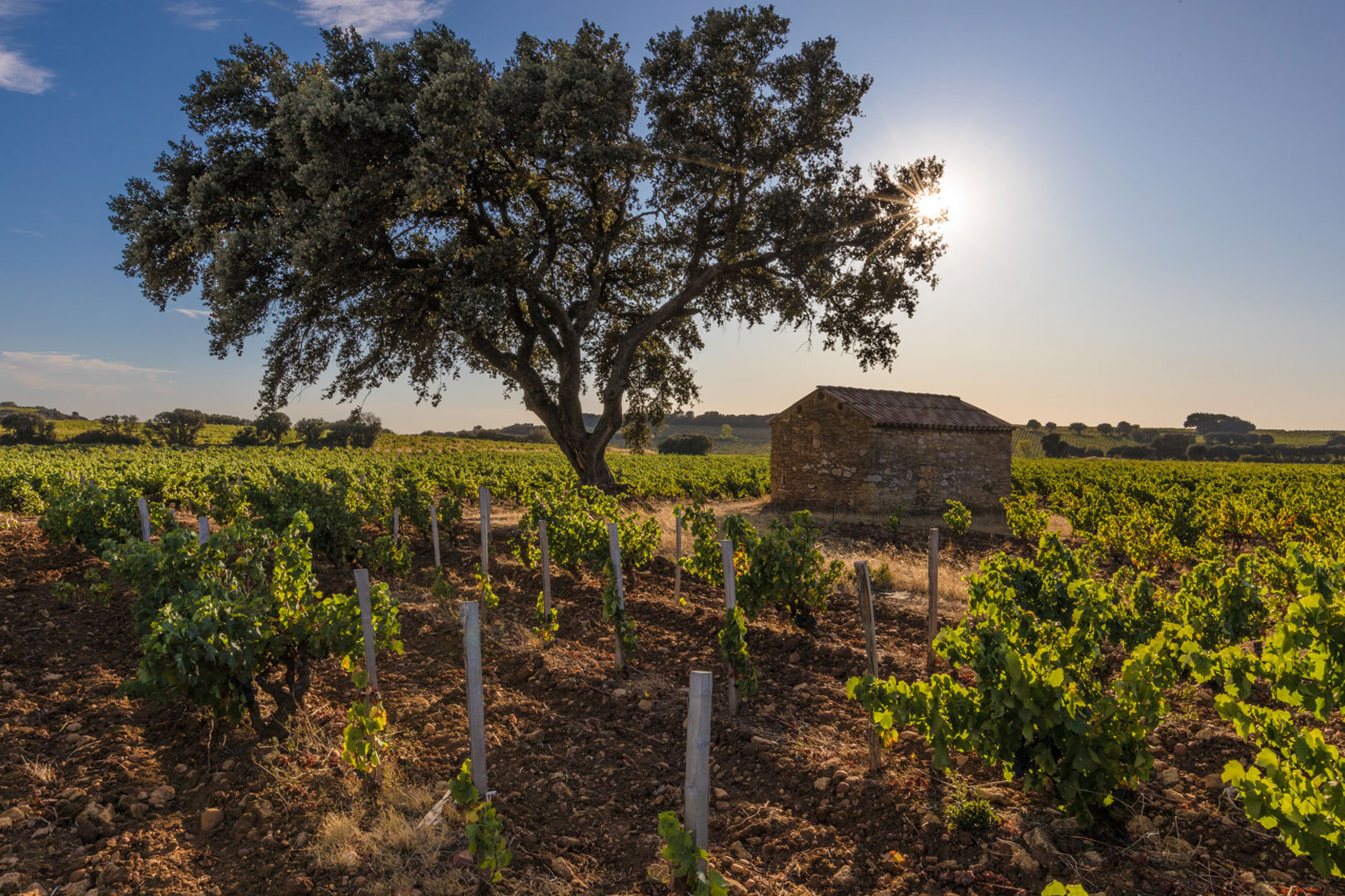 Vignobles de la Vallée du Rhône @ Kessler