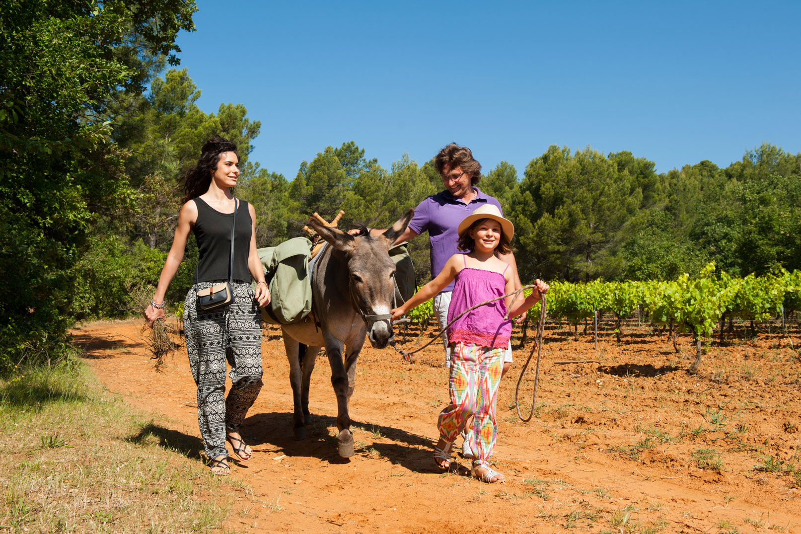 Balades avec les ânes en Provence @ Cintas Florès