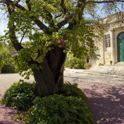 Gelassenheit und Besinnung im Garten der Abtei Saint-André