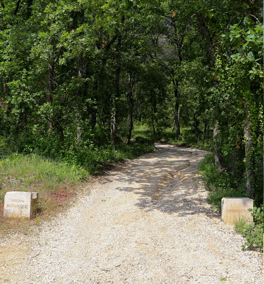 Botanische Erkundung der Domaine de la Citadelle