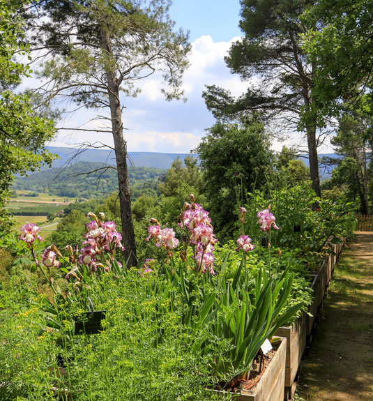 Farben und aromatische Düfte  - Luberon