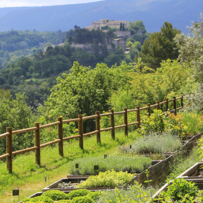 Botanische Erkundung der Domaine de la Citadelle