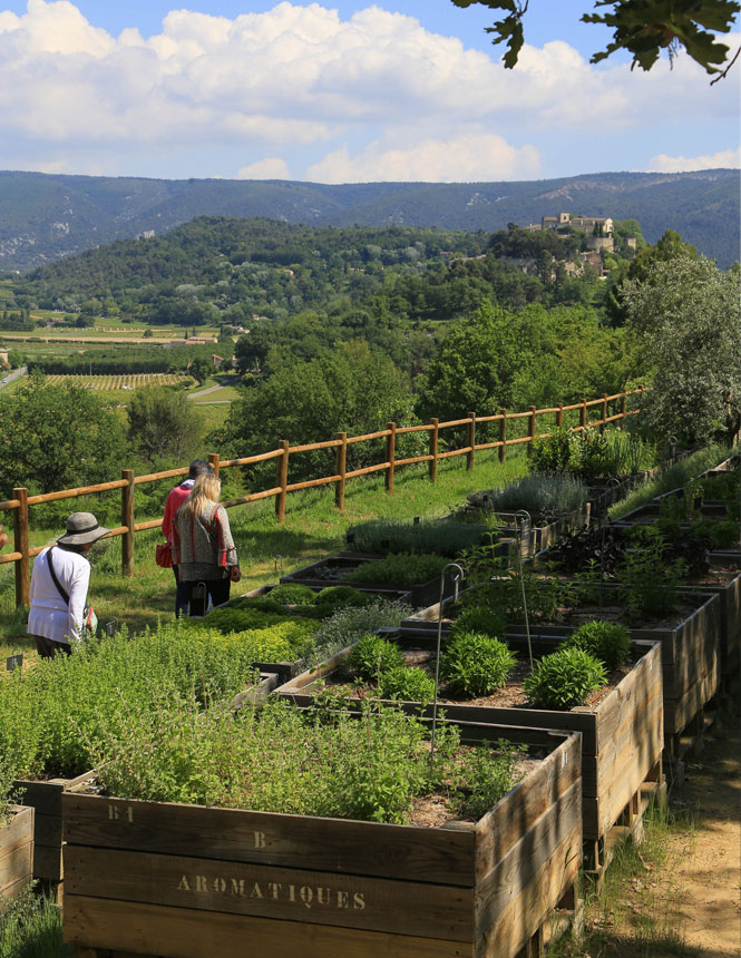 Garten - Domaine de la Citadelle - Luberon