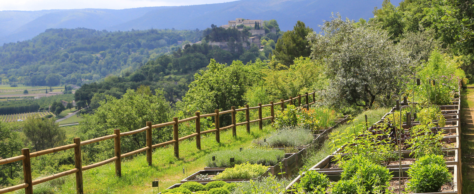 Botanische Erkundung der Domaine de la Citadelle © Hocquel