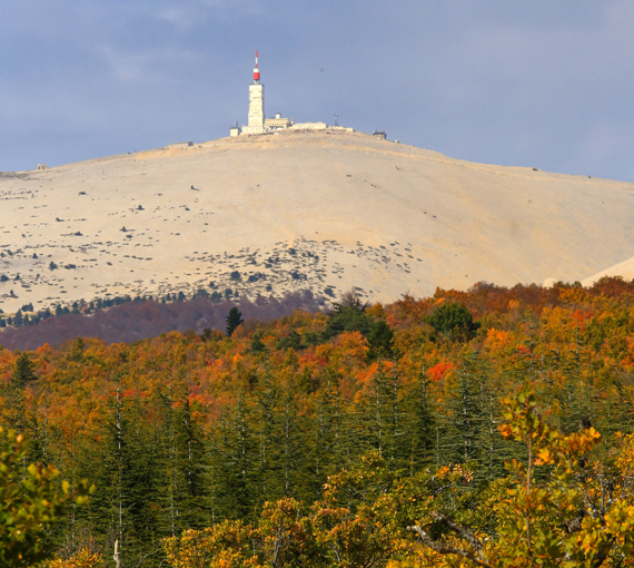 den Mont Ventoux