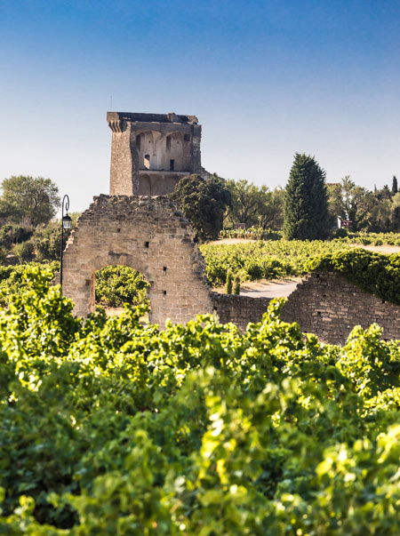 Kulturerbe und Weingut in Chateauneuf-du-Pape