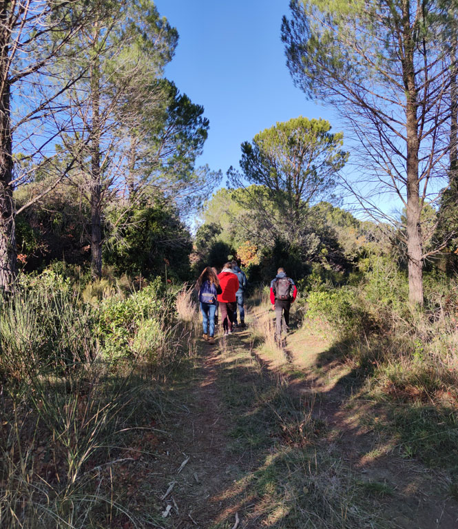 Wanderung in Sérignan du Comtat