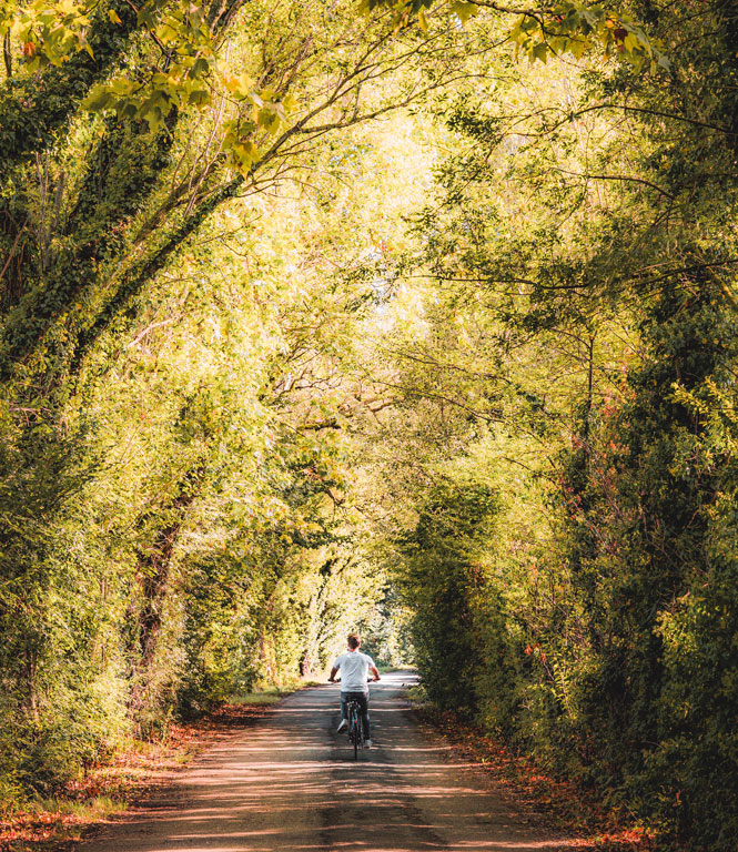 Mit dem Fahrrad auf der Barthelasse in Avignon