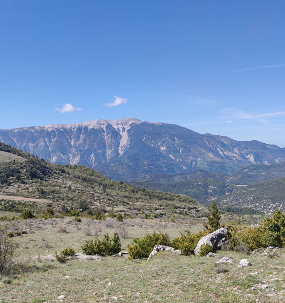 ventoux