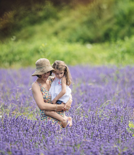 Lavendel im Provence