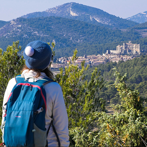 Vue sur le village du Barroux