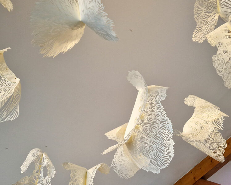 Ausstellung im Museum für Kartonagen in Valréas  © Maisonnave