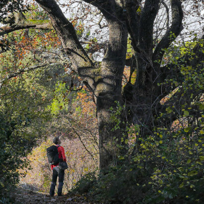 Wanderung zum ehemaligen Kloster Prébayon