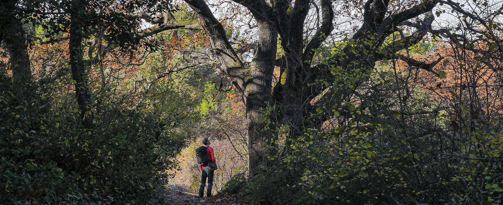 Wanderung zum ehemaligen Kloster Prébayon © Genestal